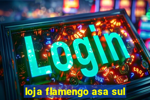 loja flamengo asa sul